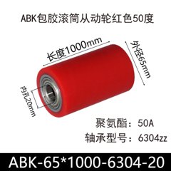 ABK-65×1000-6304-20
