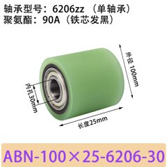 ABN-100×25-6206-30单轴承