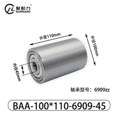BAA-100×110-6909-45