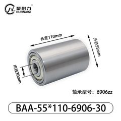 BAA-55×110-6906-30