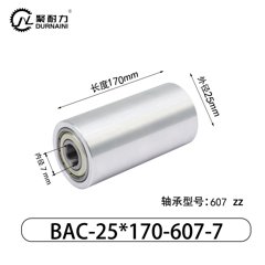 BAC-25×170-607-7