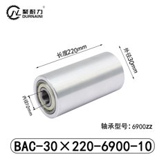 BAC-30×220-6900-10