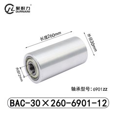BAC-30×260-6901-12