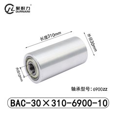 BAC-30×310-6900-10
