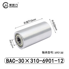BAC-30×310-6901-12