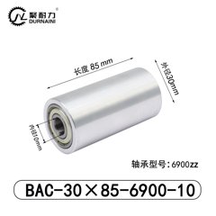 BAC-30×85-6900-10
