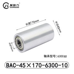 BAC-45×170-6300-10