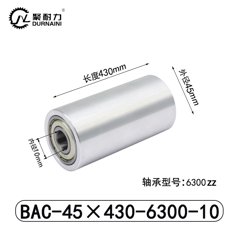 BAC-45×430-6300-10