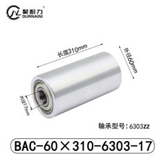 BAC-60×310-6303-17