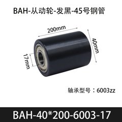 BAH-40×200-6003-17