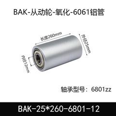 BAK-25×260-6801-12