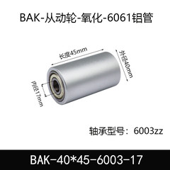 BAK-40×45-6003-17