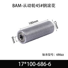 BAM-17×100-686-6
