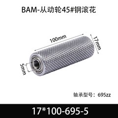 BAM-17×100-695-5