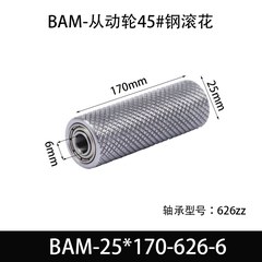 BAM-25×170-626-6