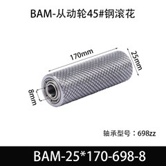 BAM-25×170-698-8