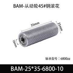 BAM-25×35-6800-10