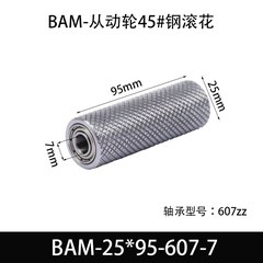 BAM-25×95-607-7