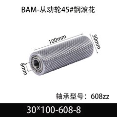 BAM-30×100-608-8