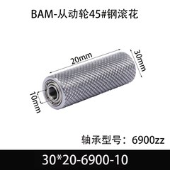 BAM-30×20-6900-10