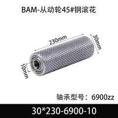 BAM-30×230-6900-10