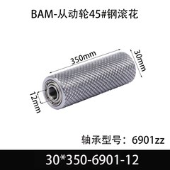 BAM-30×350-6901-12