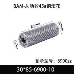 BAM-30×85-6900-10