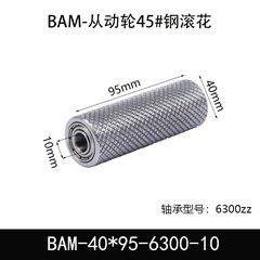 BAM-40×95-6300-10