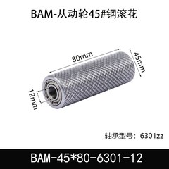 BAM-45×80-6301-12