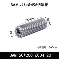 BAM-50×200-6004-20
