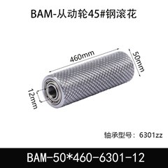 BAM-50×460-6301-12