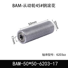 BAM-50×50-6203-17
