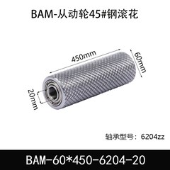 BAM-60×450-6204-20