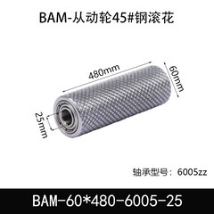 BAM-60×480-6005-25