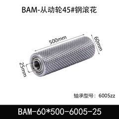 BAM-60×500-6005-25