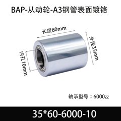 BAP-35×60-6000-10