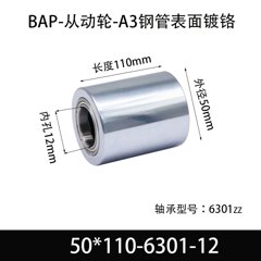 BAP-50×110-6301-12
