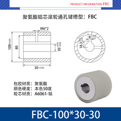 FBC-100×30-30
