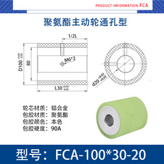 FCA-100×30-20