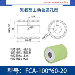 FCA-100×60-20
