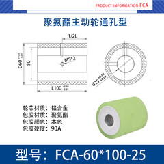 FCA-60×100-25