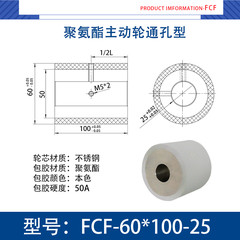 FCF-60×100-25