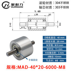 MAD-40×20-6000-M8