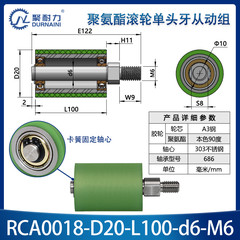 RCA-20×100-686-M6