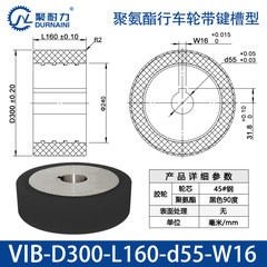 VIB-300×160-55-W16