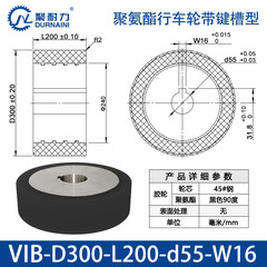 VIB-300×200-55-W16