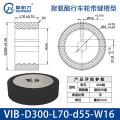 VIB-300×70-55-W16