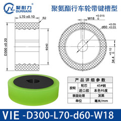 VIE-300×70-60-W18