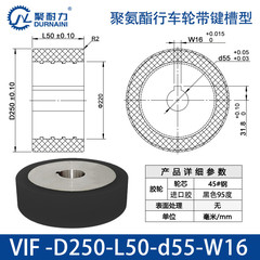 VIF-250×50-55-W16